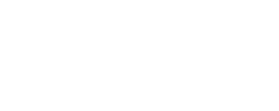 Falcon Security Systems logo